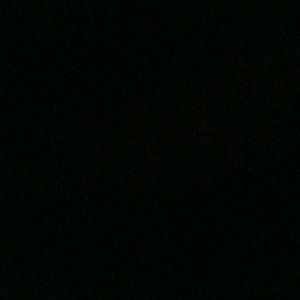 Meet your Posher, Cody